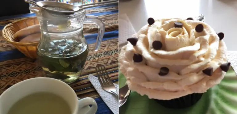 TEFL Adventures in Cusco, Peru - Veronica's Journey