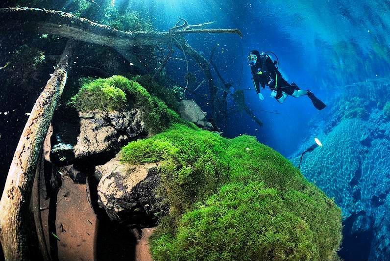 Choose Your Own Adventure: TEFL to Scuba Dive