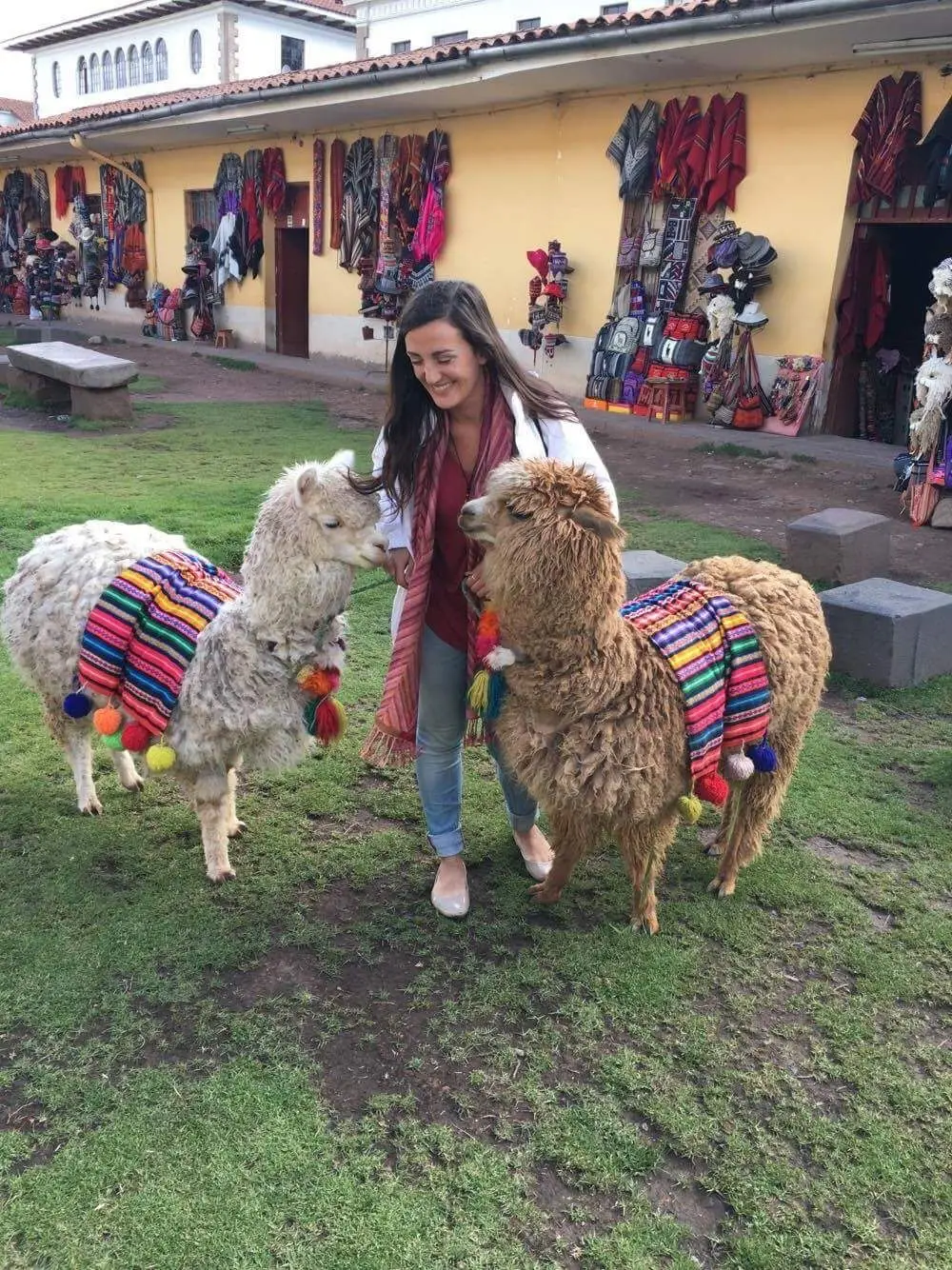 Christina Romeo with alpacas in Peru