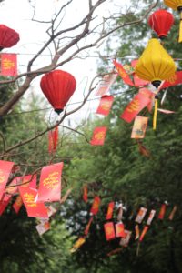 Red lanterns hanging in trees during festival in Vietnam