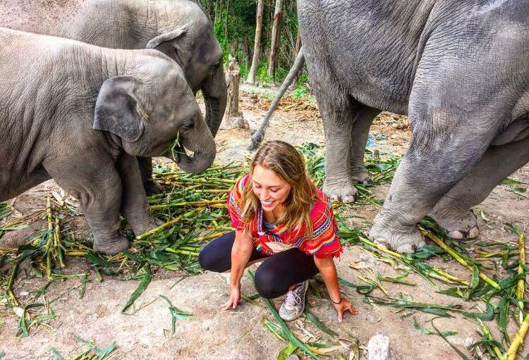 Spotlight on Teacher Lane