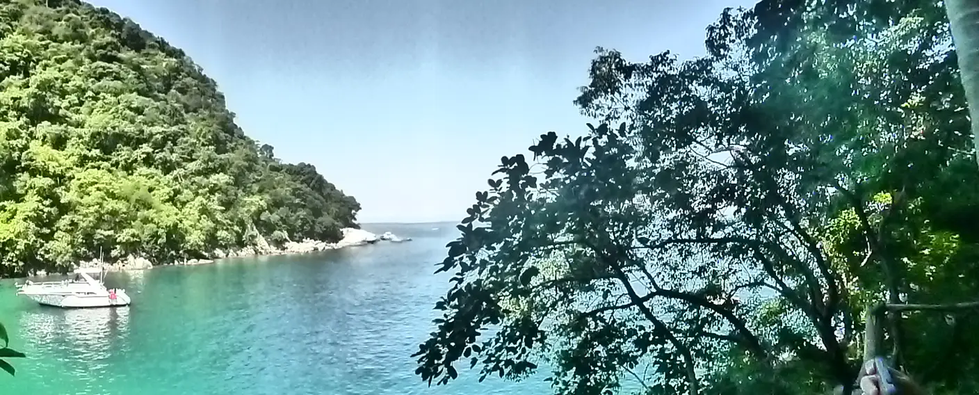 Coastal view with calm blue water, anchored boat, and tree branches overlooking the ocean in Mexico