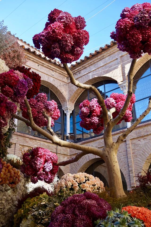 Colorful courtyard in Cordoba with vibrant flowers and historic architecture